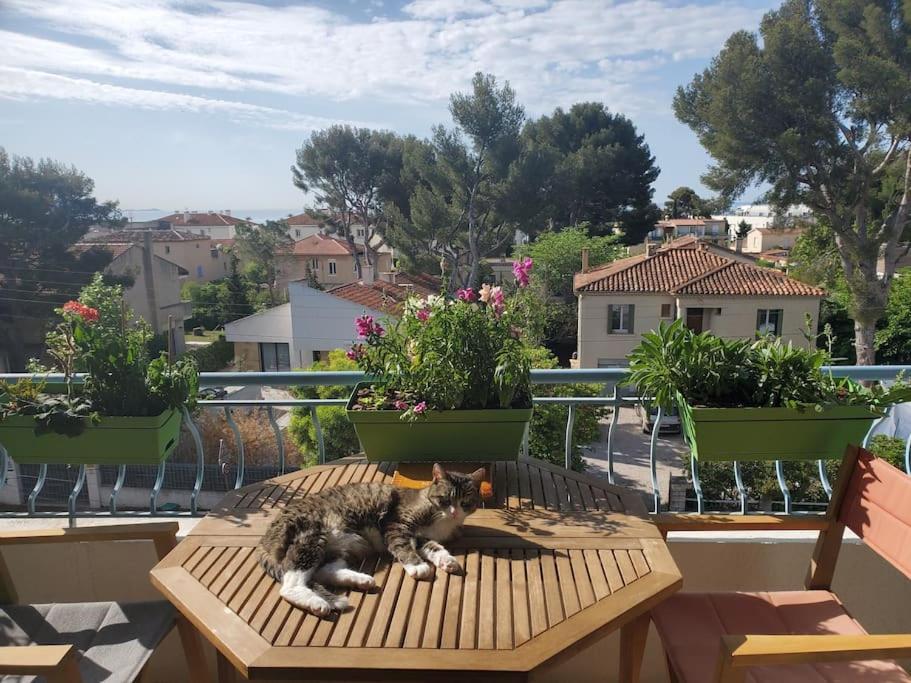 Lou Beach Home 75 M2 A 300 M De La Plage Avec Vue Mer La Ciotat Exteriör bild